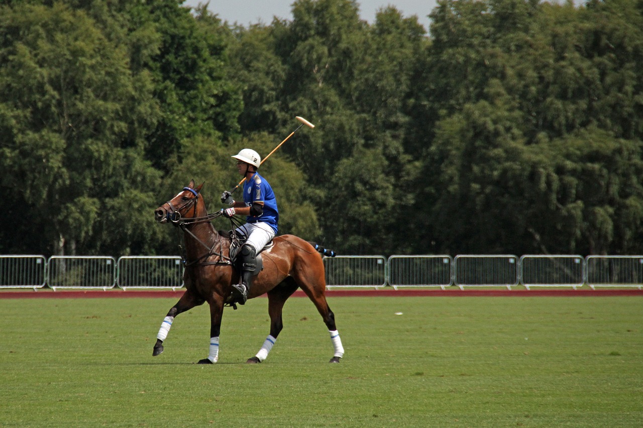 polo, horses, competition, england, equestrian, summer, equine, nature, polo, polo, polo, polo, polo